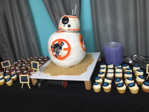 13174003 10154244787726495 6515554586885964614 n